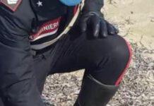 Panetti di hashish trovati su spiaggia