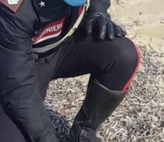 Panetti di hashish trovati su spiaggia