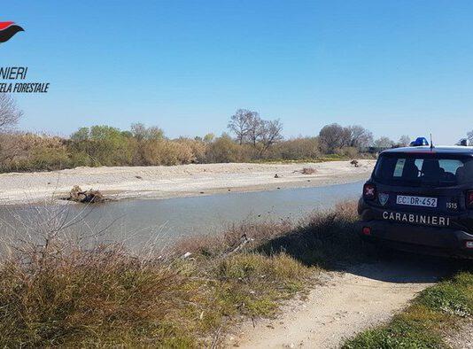 Sequestrati agrumeti abusivi in terreno demaniale, 16 persone denunciate