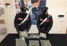 Trovati dai carabinieri oltre 2,5kg di marijuana
