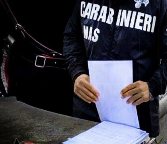 Controlli carabinieri rispetto norme igienico sanitarie: a Laureana di Borrello sanzionati due esercizi commerciali