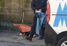 Uccide cagnolino in strada a colpi di fucile- denunciato 70enne