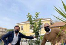 Ottavo Giardino della Memoria per le vittime di Covid realizzato in collaborazione con l’amministrazione comunale di Ionadi