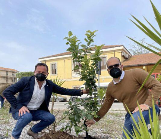 Ottavo Giardino della Memoria per le vittime di Covid realizzato in collaborazione con l’amministrazione comunale di Ionadi