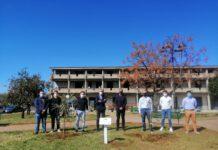 QUINTO Giardino della Memoria realizzato in collaborazione con il Comune di Rizziconi