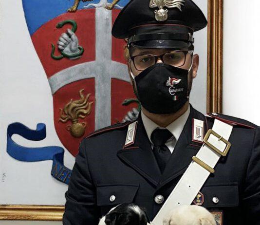 Gioia Tauro- cuccioli di cane tra i rifiuti: messi in salvo dai carabinieri