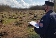 Sorpresi a tagliare il castagneto di proprietà del vicino. Arrestate 5 persone in flagranza di reato