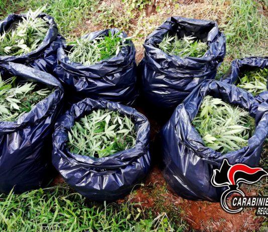 Operazione Dioniso – detenzione, vendita e acquisto di sostanze stupefacenti: 7 arresti