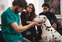 Dai veterinari di Epicura i consigli per proteggere la salute degli amici a 4zampe