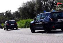 Controlli dei carabinieri nelle aziende della Piana di Gioia Tauro: elevate sanzioni per 14mila euro
