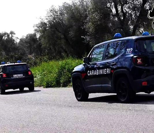 Controlli dei carabinieri nelle aziende della Piana di Gioia Tauro: elevate sanzioni per 14mila euro