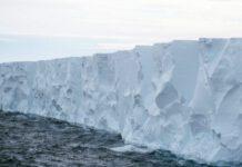 Si è sciolto l’iceberg più grande del mondo