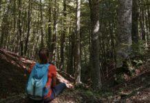 A Luglio un Campo Avventura per ragazzi alla scoperta della natura selvaggia dell’Aspromonte