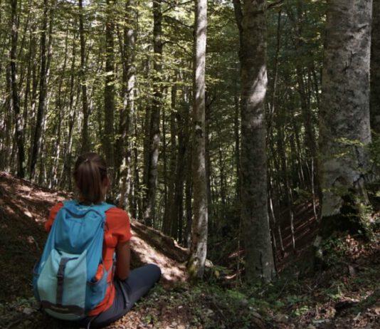 A Luglio un Campo Avventura per ragazzi alla scoperta della natura selvaggia dell’Aspromonte