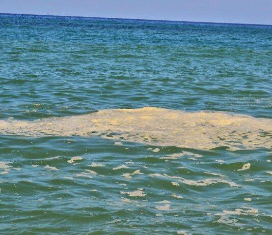 Lega, il controllo degli scarichi abusivi è fondamentale per salvare il mare