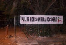 Reggio Respira “Pulire non significa uccidere”. Abbattuti più di 20 pini