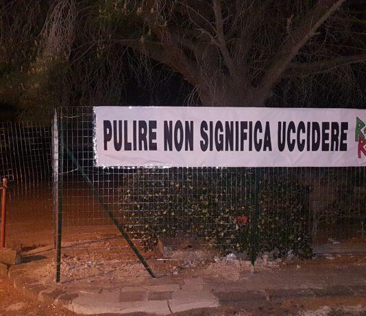 Reggio Respira “Pulire non significa uccidere”. Abbattuti più di 20 pini
