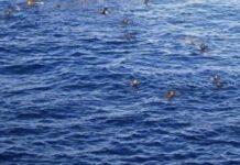 Naufragio nel mar Mediterraneo – 50 migranti dispersi