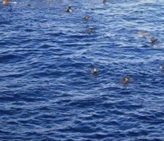 Naufragio nel mar Mediterraneo – 50 migranti dispersi