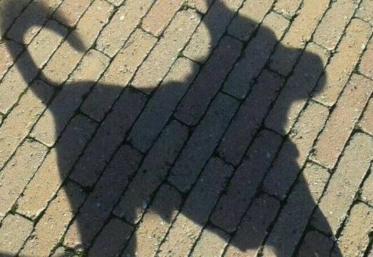 Condannato a una multa di 20 mila euro per avere ucciso a calci la cagnolina Liù