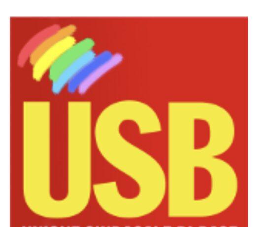 USB: I giovani lavoratori catanzaresi e calabresi spremuti come pomeli