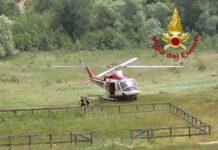 Scompare bimbo di 2 anni durante notte – ricerche in corso