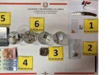 Hashish e funghi allucinogeni in casa – arrestato 34enne