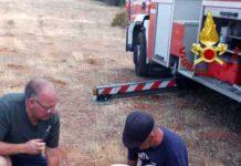 Cagnolina precipita in un pozzo di 25mt – salvata dai vigili del fuoco
