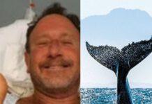 Pescatore inghiottito da balena – salvo per colpo di tosse