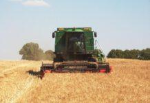 Bimbo di 10 anni muore travolto dal grano appena trebbiato