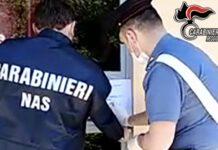 Maltrattamenti in un canile nel reggino – notificati 17 avvisi di garanzia