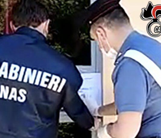 Maltrattamenti in un canile nel reggino – notificati 17 avvisi di garanzia