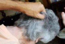 Anziana 90enne derubata e violentata in casa – arrestato 26enne