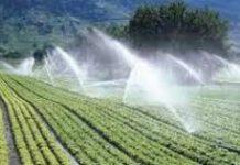 Coldiretti Calabria – acqua per l’irrigazione: nel crotonese la situazione diventa critica. Chiesto l’intervento del Dipartimento Agricoltura e del Prefetto di Crotone