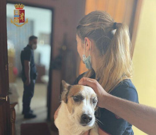 Poliziotti salvano residenti e animali da incendio in abitazione