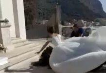 Palmi – cavallo usato per sposa si accascia a terra