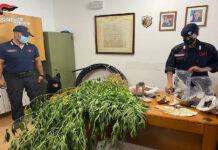 Sorpreso dai carabinieri con marijuana e cocaina – arrestato 50enne