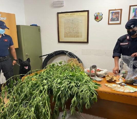 Sorpreso dai carabinieri con marijuana e cocaina – arrestato 50enne