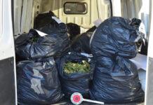 Marijuana nascosta nei sacchi dell’immondizia – 4 persone arrestate