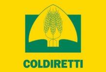 Granieri (Coldiretti): “Con obbligo green pass sul lavoro a rischio forniture cibo. Il 30% dei lavoratori nei campi è straniero e stagionale, l’anno scorso abbiamo avuto problemi di calo di manodopera, quest’anno rischiamo di non poterla impiegare”