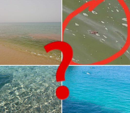 Segnalazioni mare sporco ma l’Arpacal smentisce: “si tratta di fioritura algale”