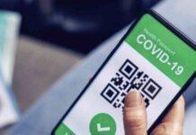 Da oggi obbligo green pass su autobus, aerei e treni