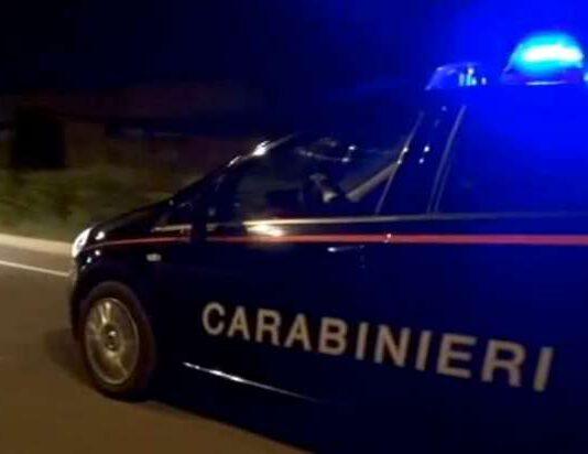 Operazione Lampetra – arresti a Sant’Eufemia, Scilla e Sinopoli: dettagli