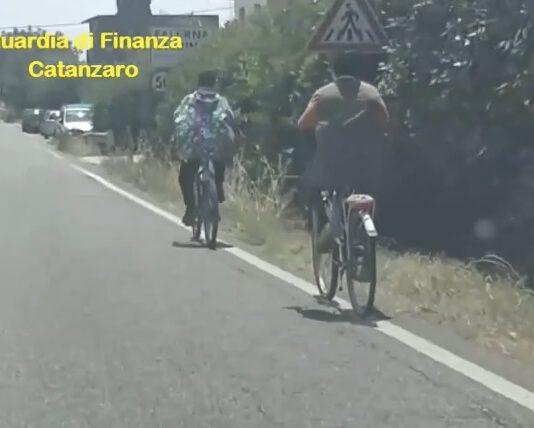 Truffa da 2 milioni di euro- scoperti 469 stranieri privi di requisiti con reddito di cittadinanza