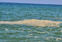 Lega, il dossier Mare Nostrum 2021 di Legambiente deve far riflettere