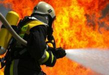 Lega, per gli incendi intervenga un esercito di volontari e tutti devono denunciare