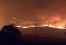 Incendi Calabria – 750 interventi dei vigili del fuoco da fine luglio