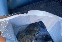 Oltre un kg di marijuana rinvenuto in un’auto abbandonata