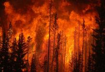 Saccomanno presenta denuncia per la catastrofe dell’Aspromonte che non può restare impunita