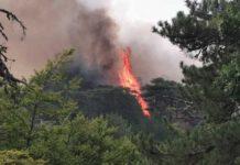 Incendi Calabria – Santuario Madonna di Polsi isolato